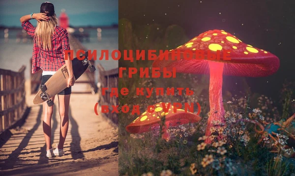 кокс Алзамай